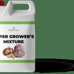 Babička do česneku přidala jednu věc: záhrada dnes zraje čtyřikrát rychleji