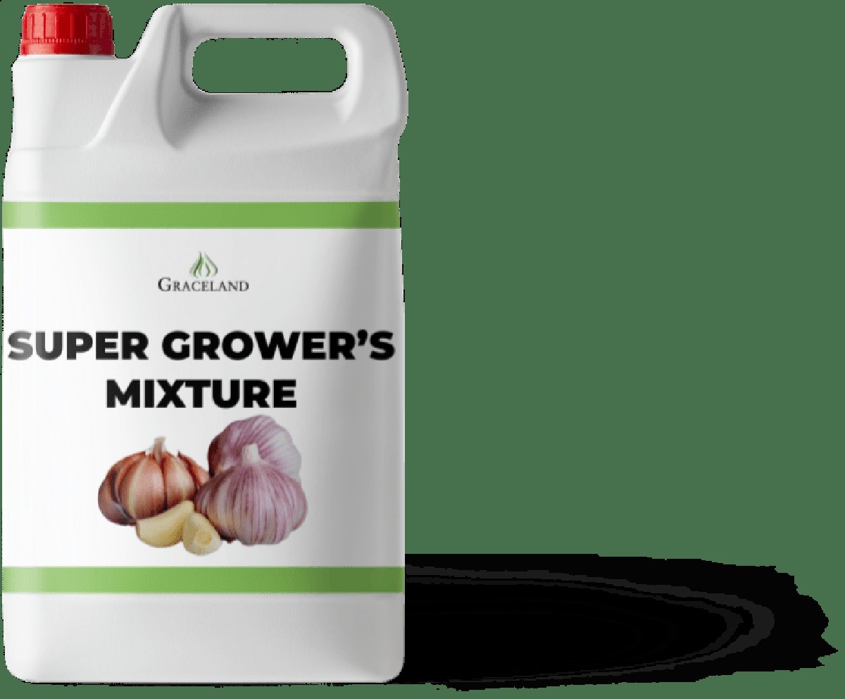 Babička do česneku přidala jednu věc: záhrada dnes zraje čtyřikrát rychleji