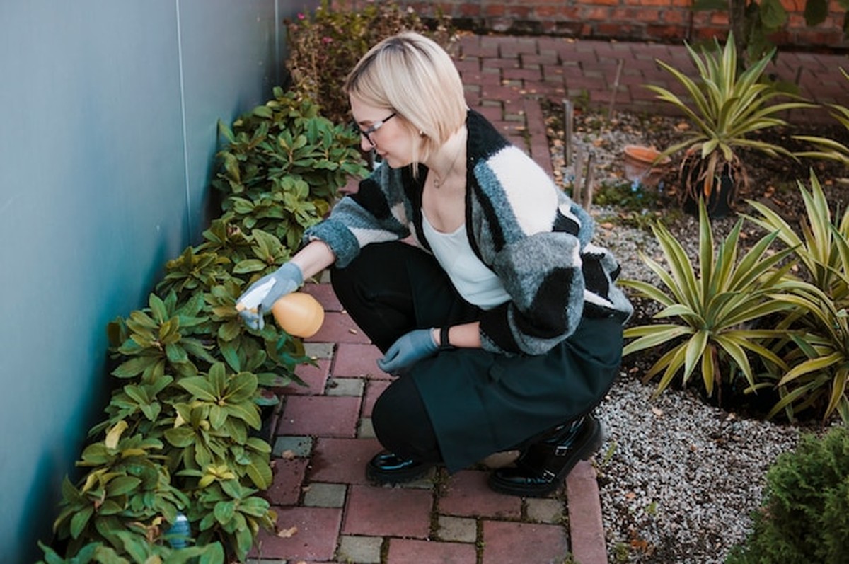 Bolí vás záda při zahradničení? Řešení pro lidi po padesátce