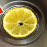 Citronová kůra v odvodnění: Jednoduchý způsob, jak se zbavit pachů