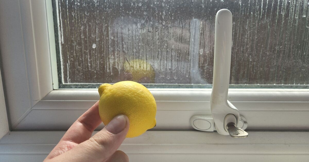 Citrónová slupka na okně? Proč to přírodní zahradníci dělají v červnu