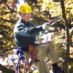 Co říkají sadaři o podzimním střihání stromů—a kdy je přesně čas