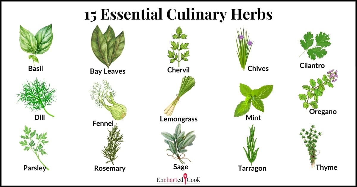 Co vám prozradí agronomie když se zeptáte na největší chybu v péči o byliny - image 2