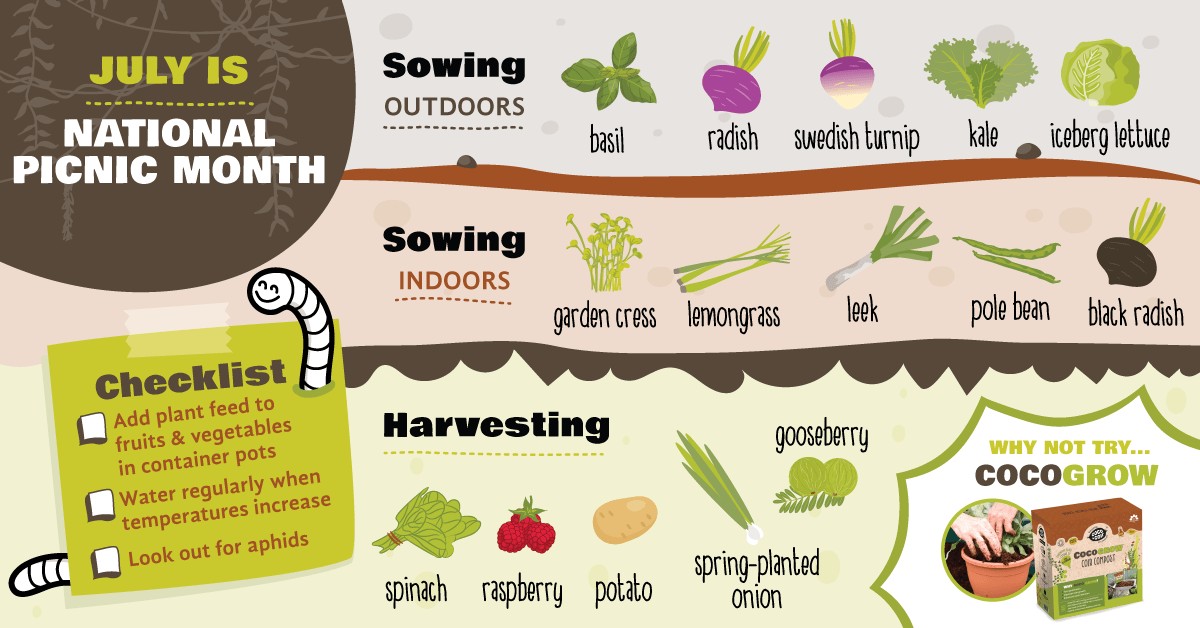Co vám zemědělci nikdy neřeknou o hnojení v červenci - image 2