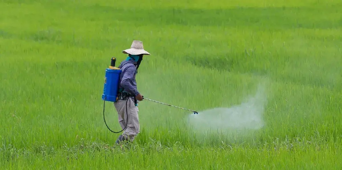 Co vám zemědělci nikdy neřeknou o včasném postřiku - image 2