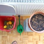 Dělá si kompost v bytě: rodina nevěří, jak je to jednoduché