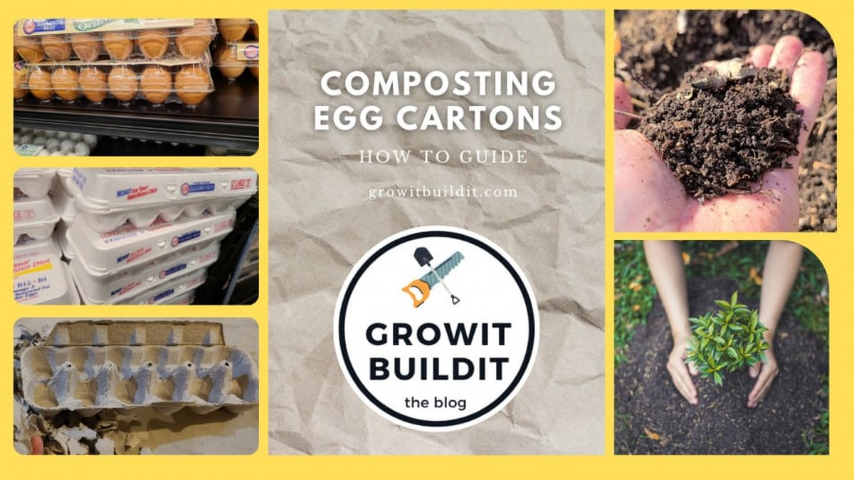 Drť z krabičky na vejce v kompóstu: sekret biohybridního zahrádkáře