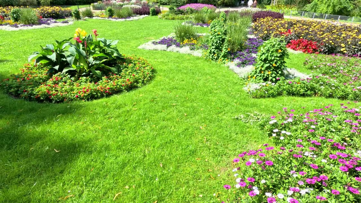 Feng-šuej v zahradě: umístěte rostliny správně a pocítíte rozdíl - image 1