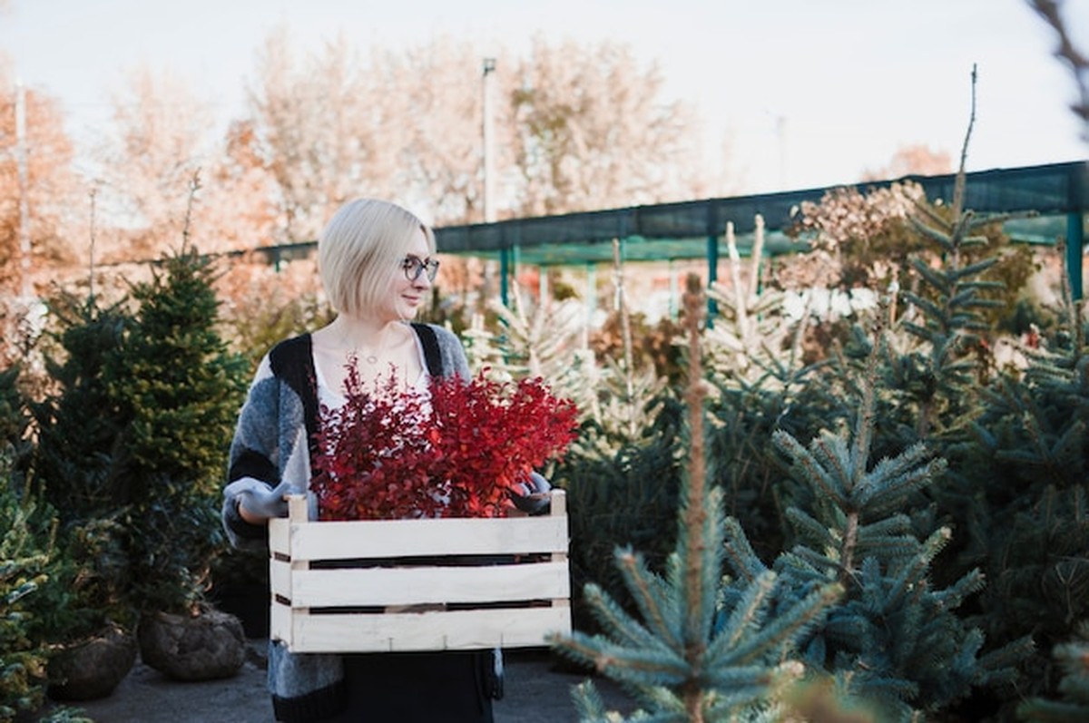 Finta starých českých babiček na přípravu půdy v prosinci