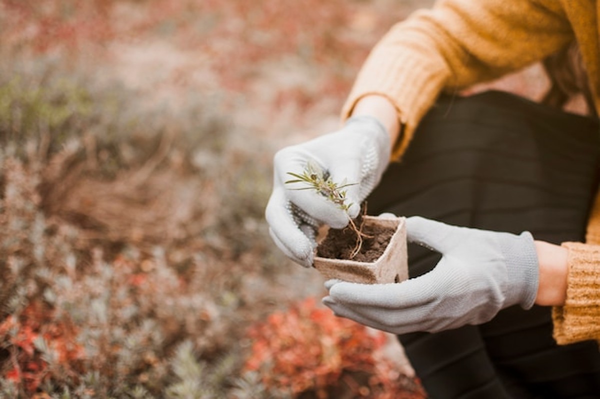 Finta starých českých babiček na přípravu půdy v prosinci - image 1