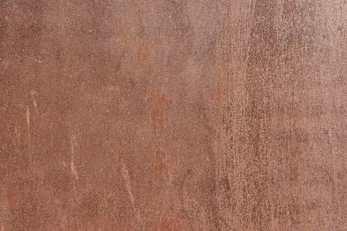 Jak zbavit zahradu slimáků bez jedů — trik, který funguje - image 2