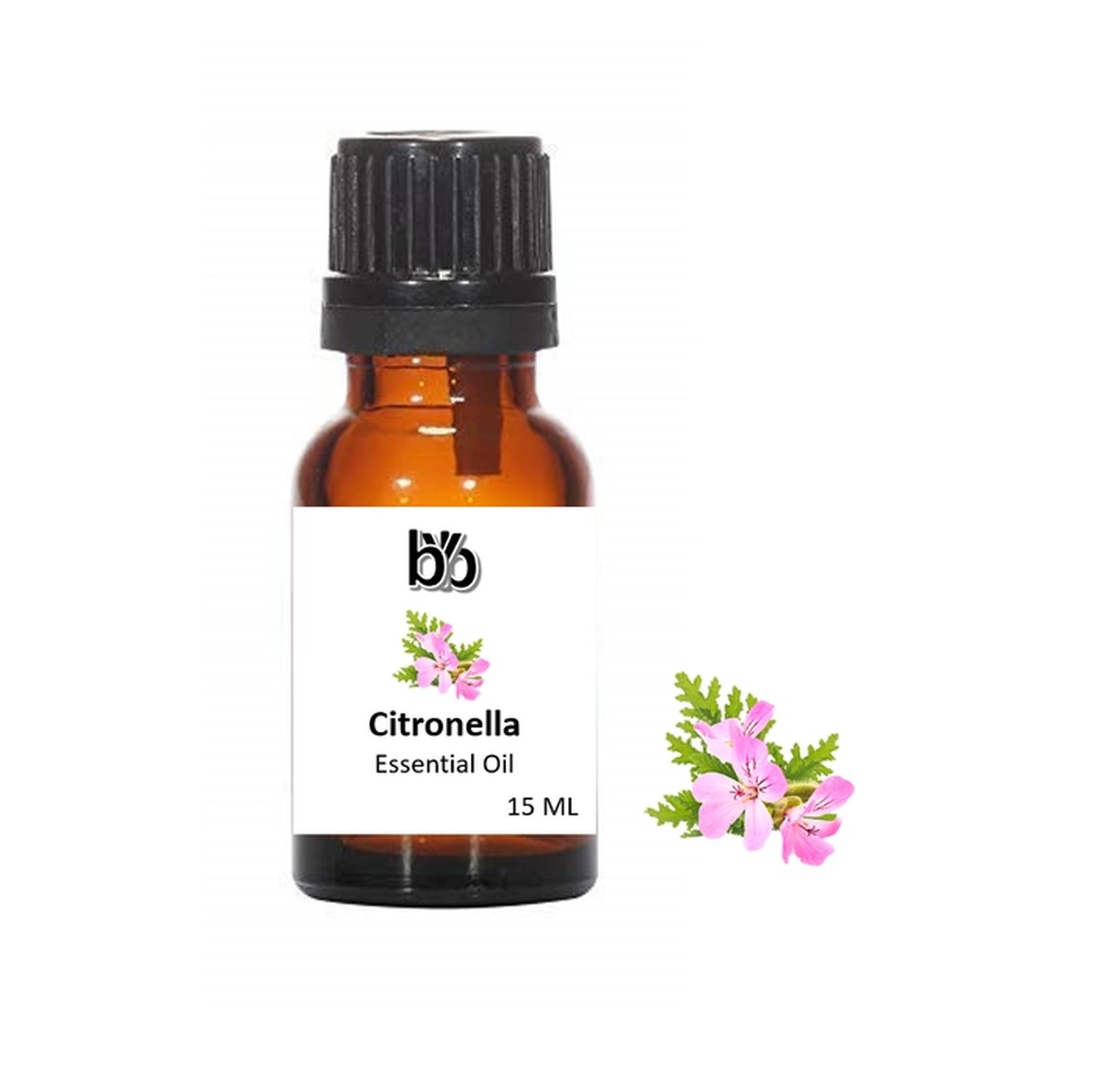 Kávový filtr na okna? Přesně tím se zbavíte hmyzu v létě - image 1