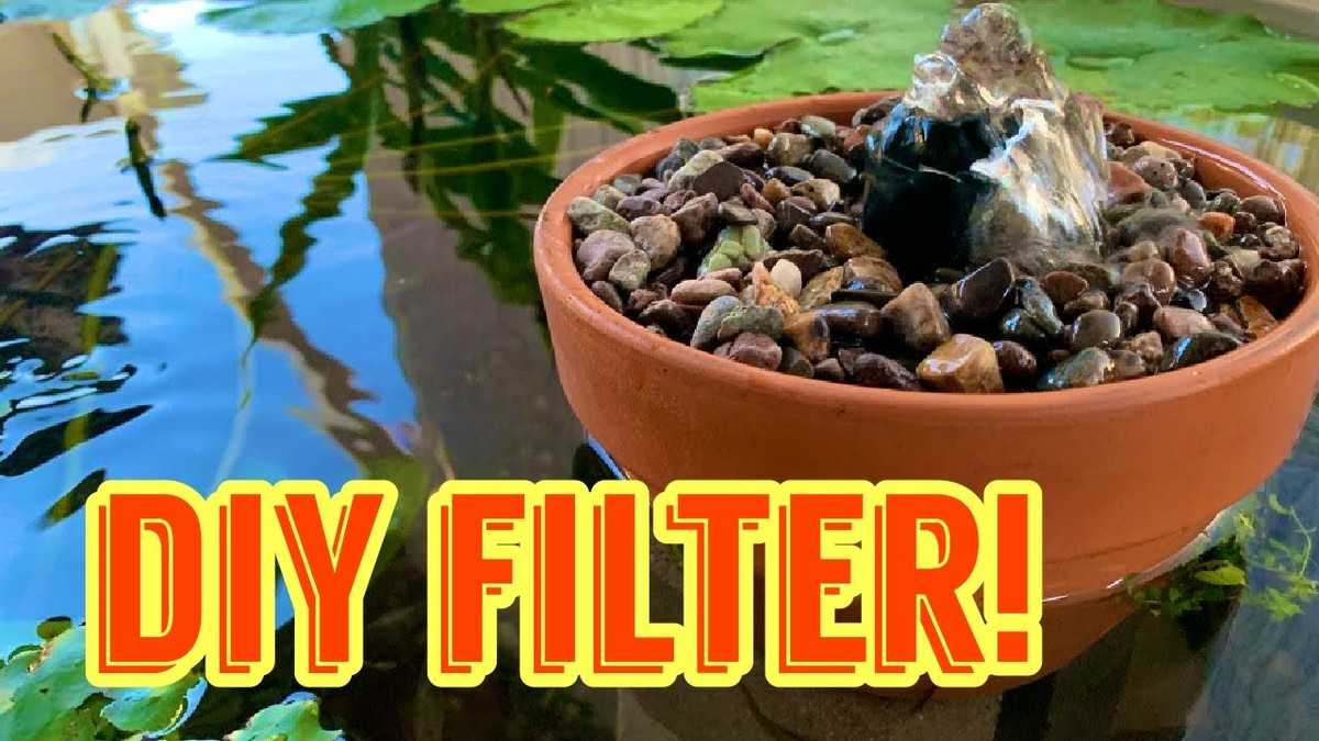 Kávový filtr v květináči? Hadinec už nikdy neuvidíte plíseň - image 1