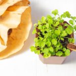 Kávový filtr v záhradě? Starý trik, který zahradníci tají