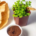 Kávový filtr v záhradě? Zadrží vlhkost a ušetří vám zalévání