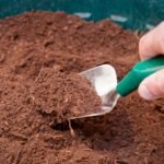 Kávový lógr v květináčích: nejlevnější hnojivo, které si místo nákupu připravíte sami