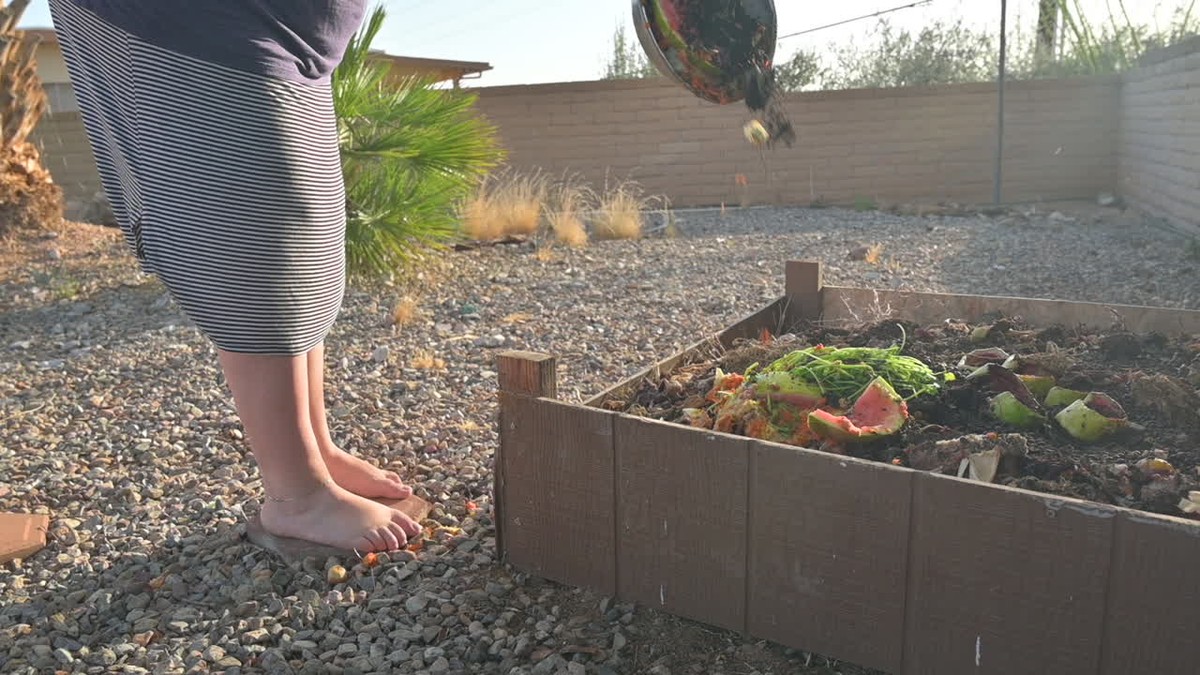 Kompostér doma: stojí to za to, nebo je to jen trend? - image 2