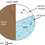 Krajináři odhalují: proč právě vzduch v půdě rozhoduje o úrodě