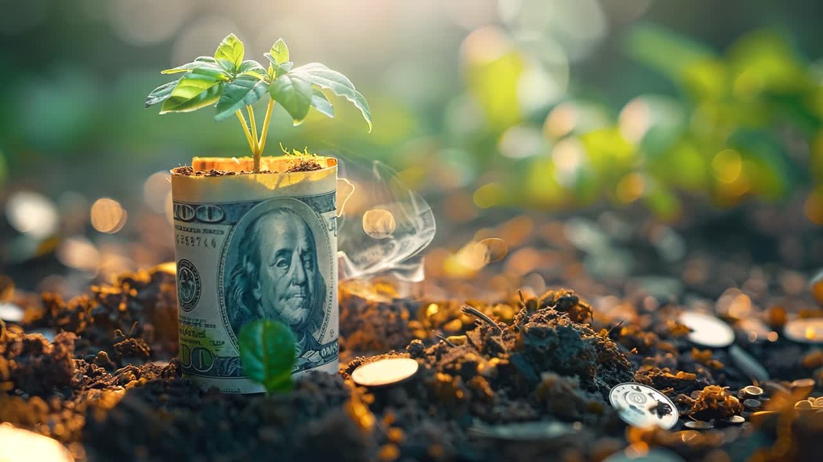 Která pokojová растení přinášejí štěstí do domácnosti - image 2