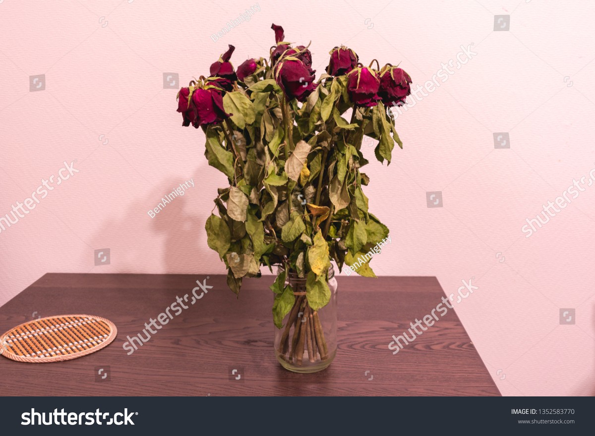 Květinář prozrazuje: jak poznat, že vaše růže ve váze umírá zbytečně