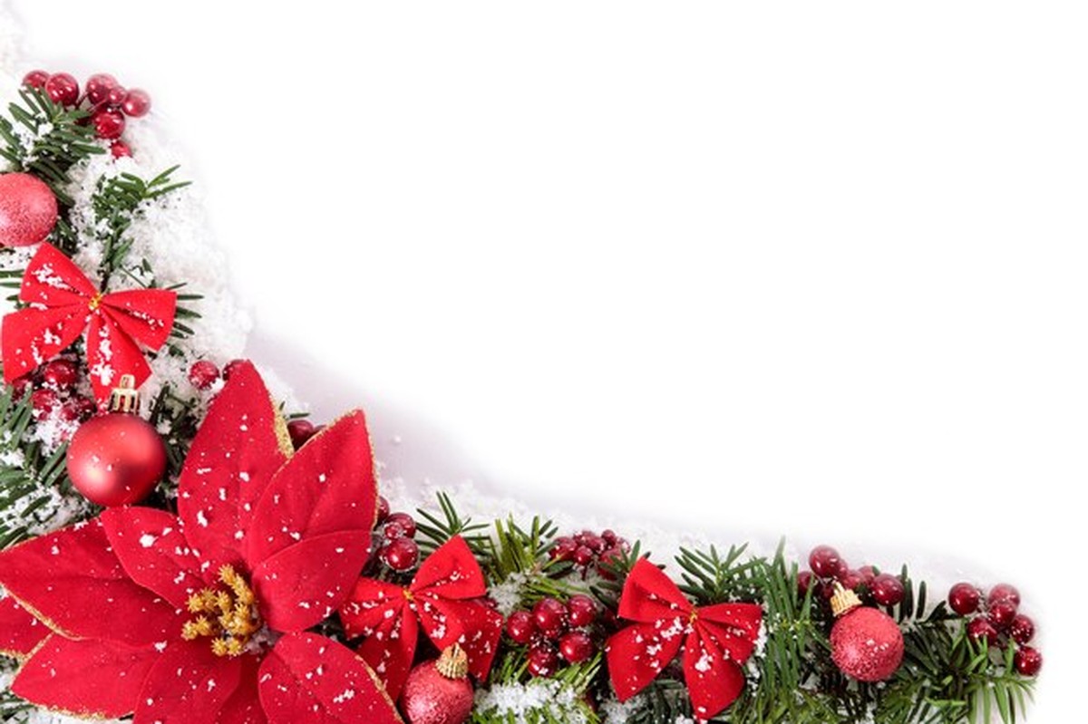 Květiny na poslední chvíli: jak aby vydržely do Vánoc