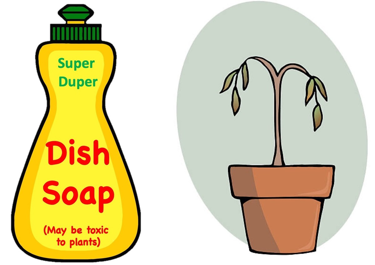 Mýdlová voda z mycího prostředku: jak oživit vádnoucí kopřivu za pět minut - image 1