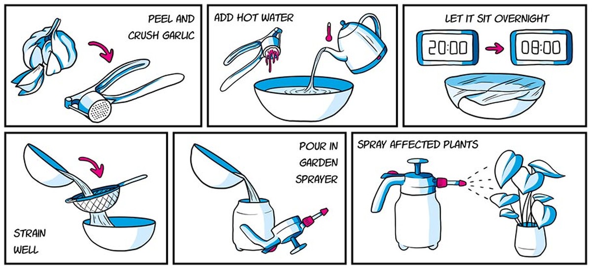 Mýdlo z nehtů: nejlepší prevence proti králíkům, kterou prodejci schválně tají - image 2