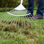 Ocet a soda na mechu v trávníku? Výsledek uvidíte za 48 hodin