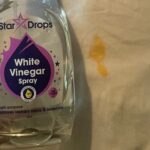 Ocet na listech rajčat zabíjí choroby lépe než chemie za 500 Kč