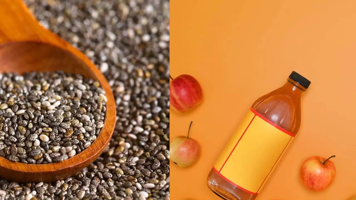 Octus na semínkách zeleniny: startovací trик, který změní vaši úrodu