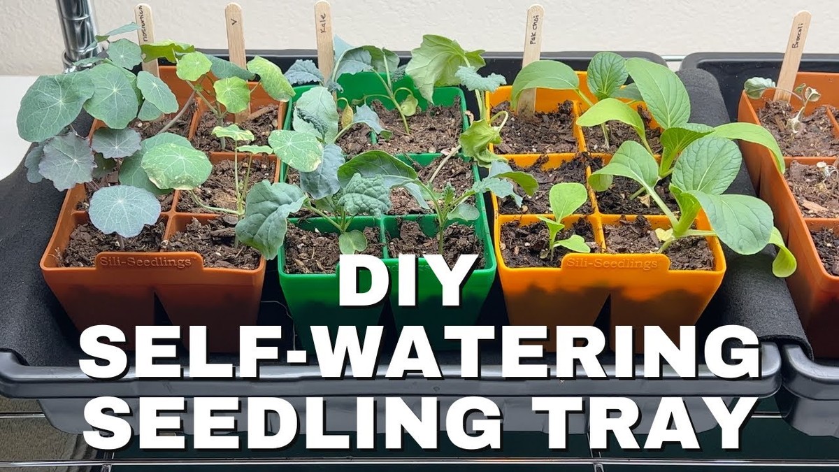 Papírové brčka v zahradě změní způsob, jak zalévate sazenice - image 1