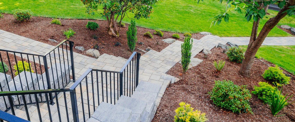 Papírové krabice jako mulč: proč to funguje lépe než drahé produkty - image 2