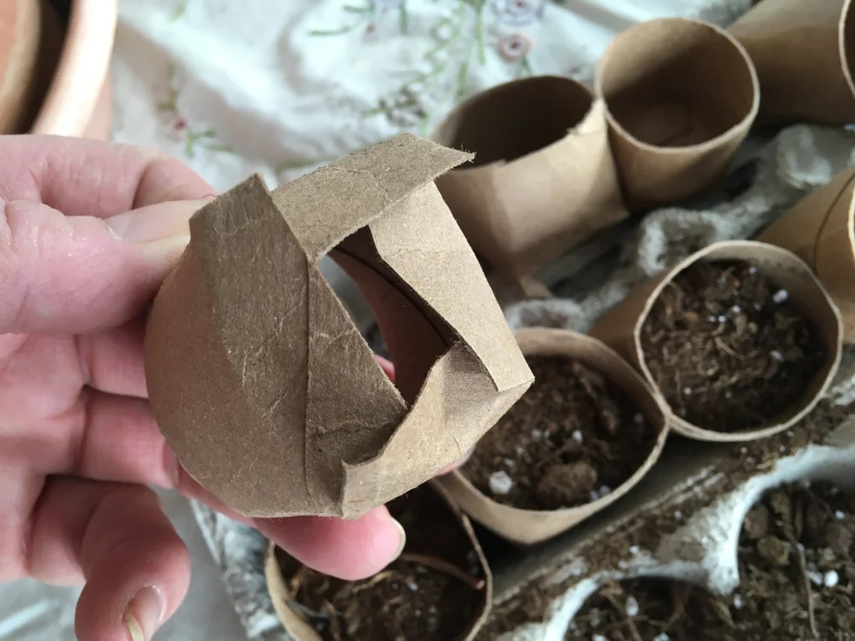 Papírové tuby na semena: přesazování bez plastů a bez stresu - image 1