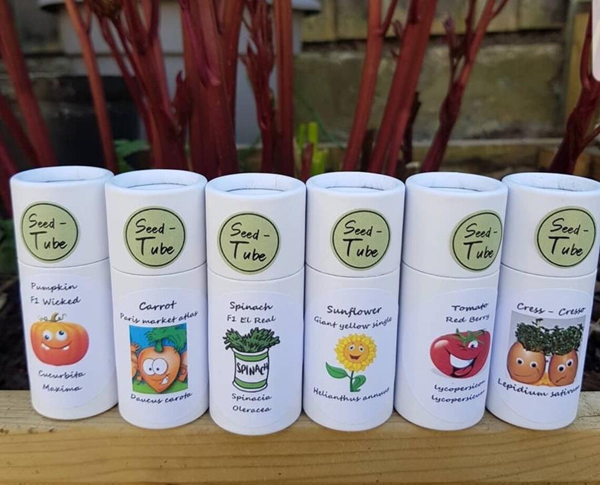 Papírové tuby na semena: přesazování bez plastů a bez stresu - image 2