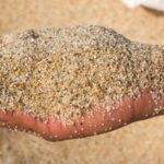 Písek z bazénu do květináčů: proč to dělají zahradníci naproti