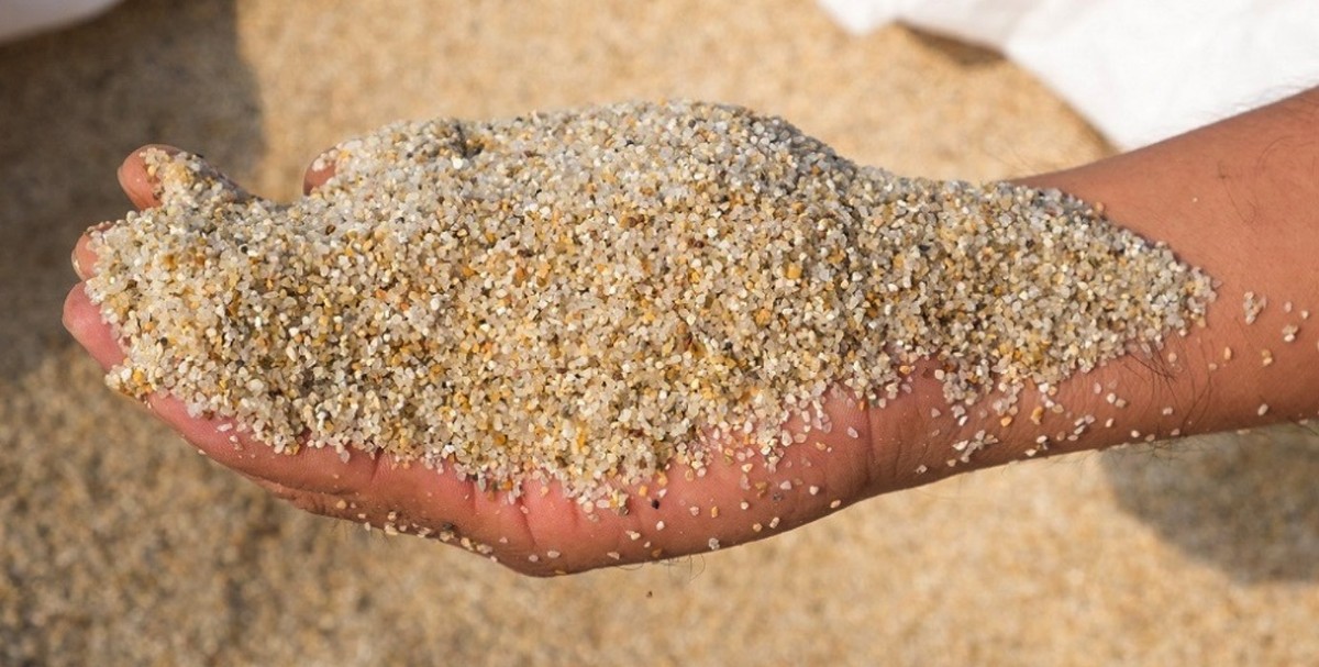 Písek z bazénu do květináčů: proč to dělají zahradníci naproti