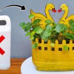 Plastový kanystr jako zrošťovací nádoba: geniální trik za pár korun