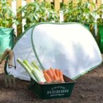 Pletivo ze starého trička chrání sazenice lépe než plot