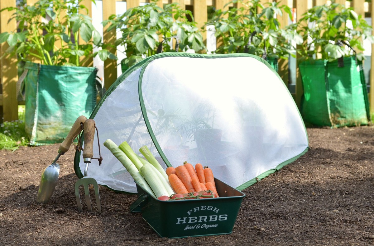 Pletivo ze starého trička chrání sazenice lépe než plot