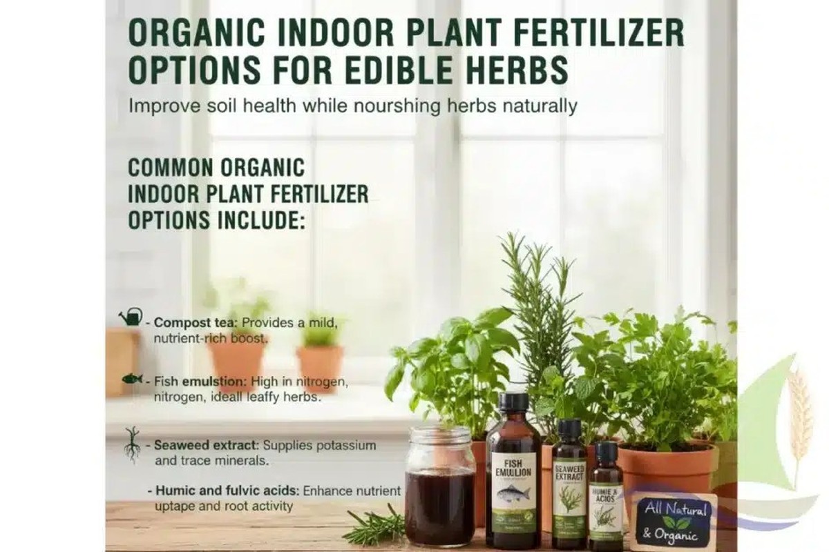 Použité čajové sáčky nejsou odpad – jsou nejlepší hnojivo pro bylinky - image 2