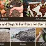 Přestaňte koupit umělá hnojiva: zjistila jsem co mají všichni v košíku