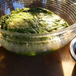 Proč školitelé průmyslového zemědělství zdůrazňují kvasný čaj z kopřiv