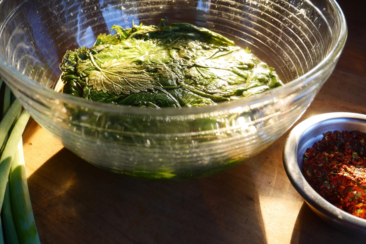 Proč školitelé průmyslového zemědělství zdůrazňují kvasný čaj z kopřiv