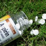 Rozpuštěný aspirin pro květiny: proč to zahradníci již 30 let tají