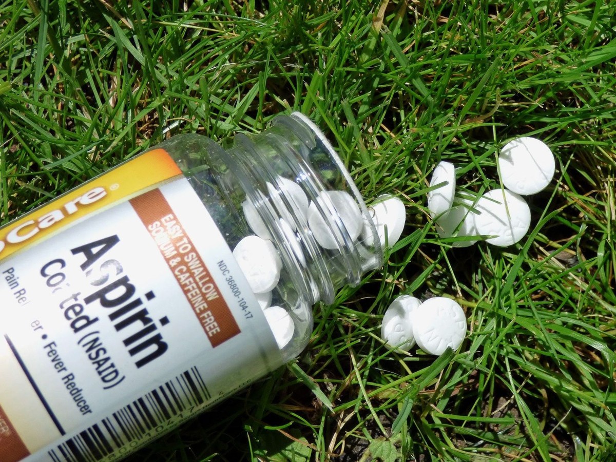 Rozpuštěný aspirin pro květiny: proč to zahradníci již 30 let tají