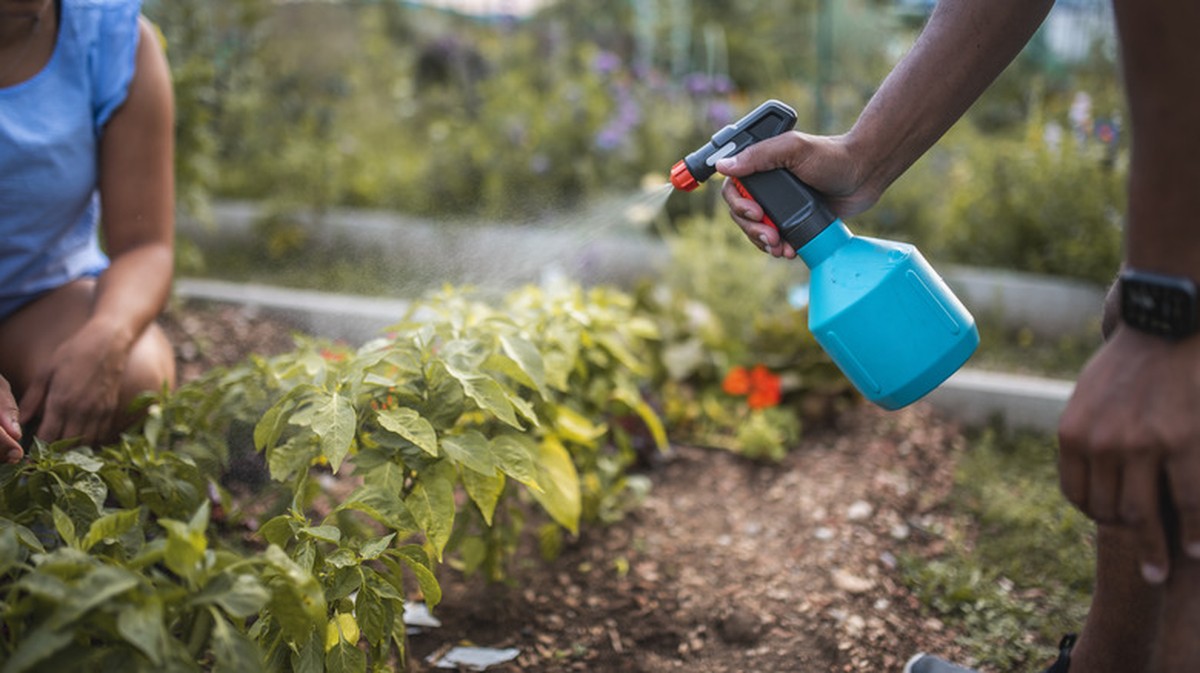 Skořice na cestě: starý trик místních zahradníků proti mouchám - image 2