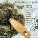 Skořice na půdě: Starobylý trik proti molům, který funguje lépe než chemie