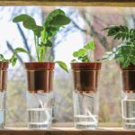 Sousedka z domu zalévá květiny kouskem tohoto: nikdy nezvadnou