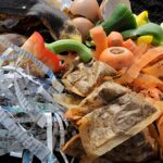 Staré noviny v kompostu? Odborník radí, co se nesmí psát