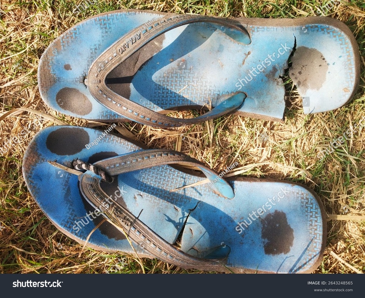 Staré pantofle na přední zahradě – geniální trik proti slimákům, který nikdo nečekává - image 1